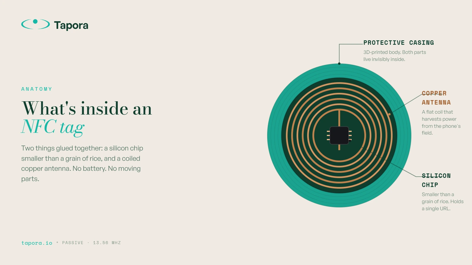 Diagram — anatomy of an NFC tag — Flat illustration showing the chip, coiled copper antenna, and protective casing as labelled layers. Brand palette (turquoise + deep forest 
